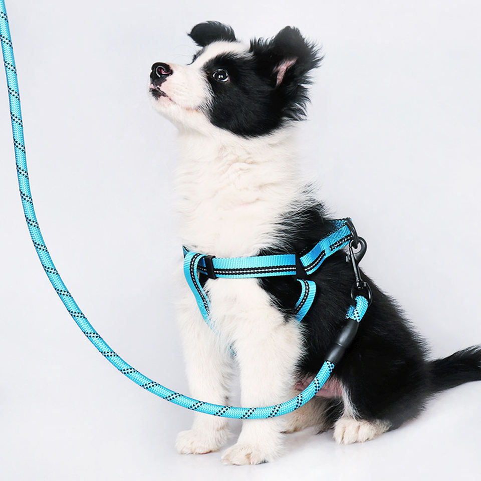 Nylon Pet Harness Leash Set with Pull Bungee Reflective Dog Luxury & Simple Styles Solid Pattern Decorative Rivet